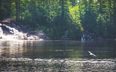 What I learned from my first solo road trip to Muskoka